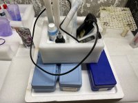 IMG_5960.jpeg