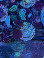 IMG_5191.jpeg