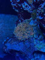 IMG_5183.jpeg