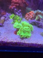 IMG_0690.jpeg