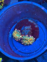 IMG_7578.jpeg
