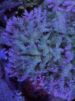 IMG_4048.jpeg