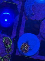 IMG_0263.jpeg