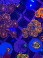 IMG_0257.jpeg