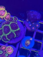 IMG_0256.jpeg