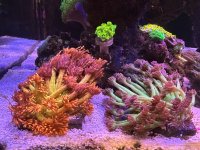 IMG_5209.jpeg