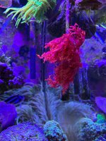 IMG_1775.jpeg