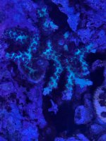 IMG_4257.jpeg