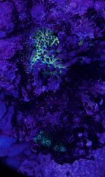 IMG_4261.jpeg