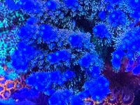 IMG_0188.jpeg