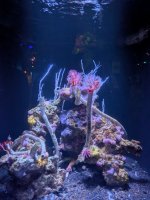 PXL_20260607_224144469.MP.jpg
