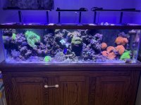 IMG_9013.jpeg
