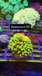 38B677A6-0F68-437A-9AE8-F11B54253775.jpeg