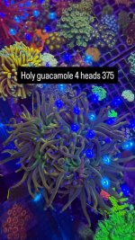 D4470D69-934E-4CC3-BF05-9509B470FF9F.jpeg