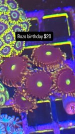 425CA7C6-8674-4BF6-9072-E21B25924B50.jpeg