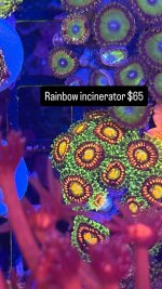 7EC94D04-F7D4-4C91-9A4B-917A854C82DF.jpeg