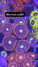 9B66EB88-2D51-4860-B38F-82FE94F04AC9.jpeg