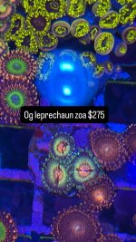 CA632495-86A6-45BD-B280-F30B1F7D5C3D.jpeg