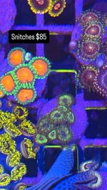 7B24F37C-863D-498A-BE0C-8EE7286EAC31.jpeg
