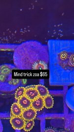 34DA2EFC-35C2-4688-A7FC-8E18490D2E67.jpeg