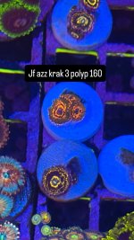66E7B64F-EA22-4203-B297-1B16F1BB8992.jpeg