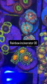 C4036E85-194A-4B47-AAD0-EA4DCA1F4C49.jpeg