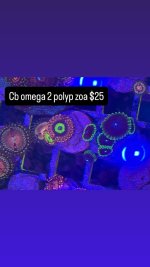 35AD275E-761C-4240-A805-4EFF8614EAA9.jpeg