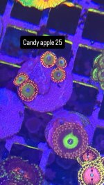 123CFC0D-3541-489E-9B72-EB6B214699C2.jpeg