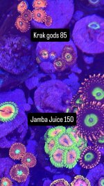 2F23D2D0-5BAA-45D1-B0C9-206E2588696E.jpeg