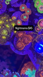 5407BE0C-66E0-4F28-9144-297101F55C6C.jpeg