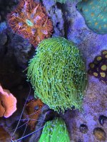 IMG_2998.jpeg