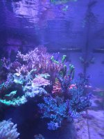 20260616_205952.jpg