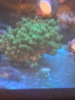 IMG_6773.jpeg