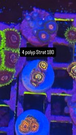 F585E0C9-0356-42B3-813D-69471AB24049.jpeg