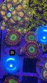 3574B568-09DA-46EA-B2AD-8BB9082D5C2B.jpeg