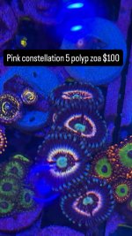 1C767148-83F3-4ED1-AA6B-9CE9435295BF.jpeg