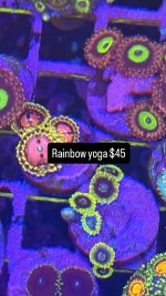 71EEB9CB-EFF0-4316-90FB-860FE4B0A50E.jpeg
