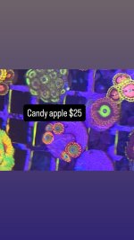 CFFB3724-EE99-4026-8ADD-B63AB4C0E8C8.jpeg