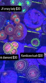 C1302B61-9C20-4838-99CC-5D680235D910.jpeg