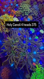 AFD5DE8E-1A5D-4E07-B070-695EF2D30EE5.jpeg