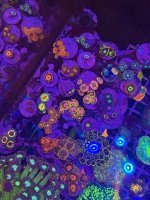 IMG_0759.jpeg