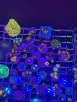 IMG_0760.jpeg