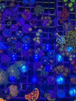 IMG_0761.jpeg