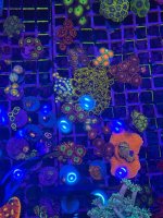 IMG_0762.jpeg