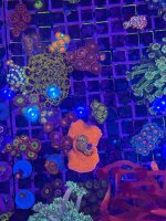 IMG_0763.jpeg