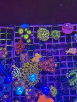 IMG_0764.jpeg