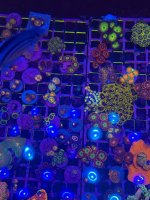 IMG_0765.jpeg