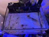 IMG_2715.jpeg