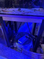 IMG_2713.jpeg