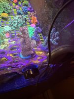 IMG_0775.jpeg